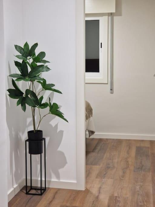 Atico Cork Apartment Vigo Luaran gambar